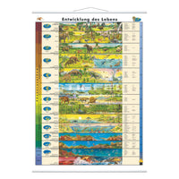 Entwicklung des Lebens