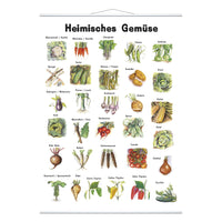 Heimisches Gemüse