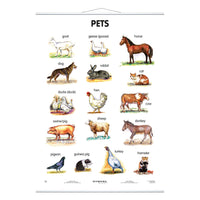 Pets (in englischer Sprache)