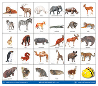 Bee Bot-Matte Welche Tiere kennst du?