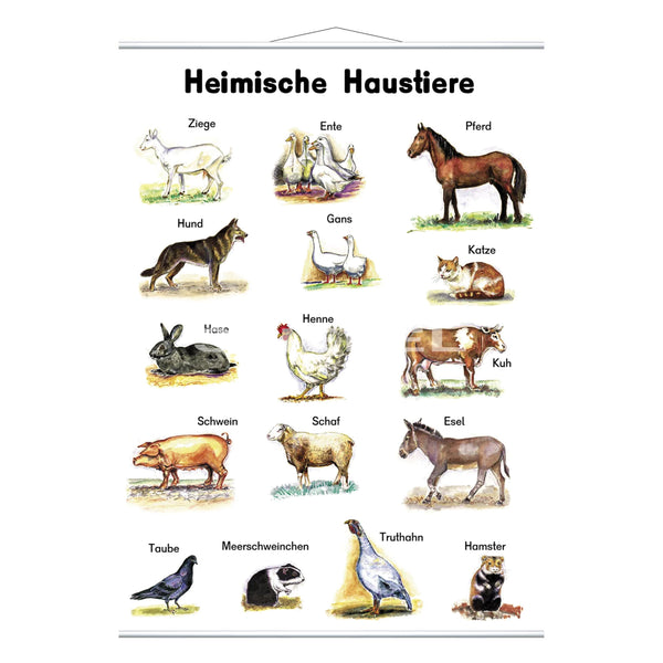 Heimische Haustiere