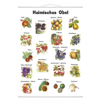 Heimisches Obst