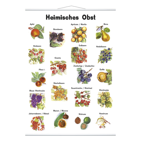 Heimisches Obst