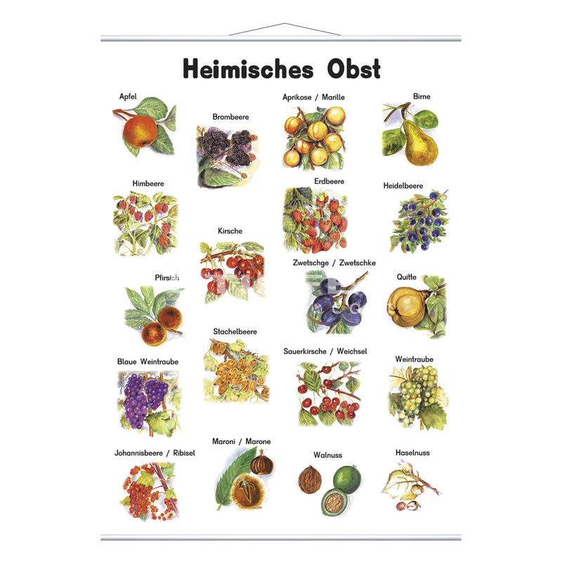 Heimisches Obst