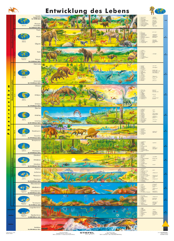 Entwicklung des Lebens (Unterstufe)