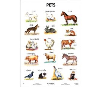 Pets (in englischer Sprache)