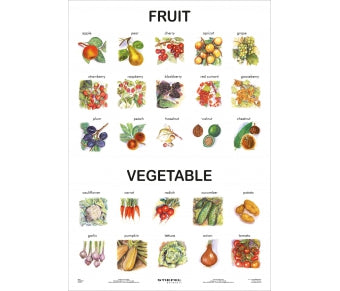 Fruit and Vegetable (in englischer Sprache)