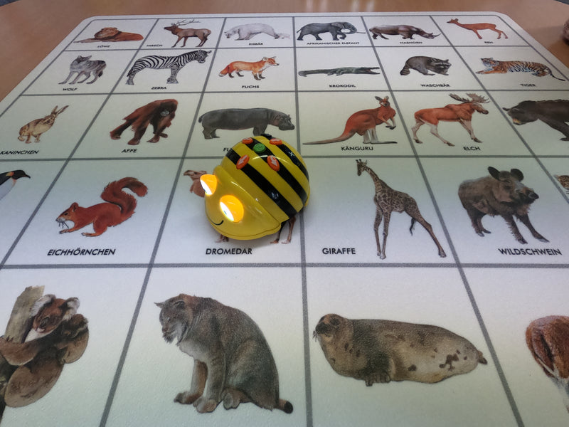 Bee Bot-Matte Welche Tiere kennst du?